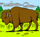 Dibujo Búfalo  pintado por mario