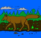 Dibujo Coyote pintado por celina