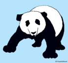Dibujo Oso panda pintado por llasminmagaly