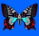 Dibujo Mariposa 5 pintado por katherindelosangeles