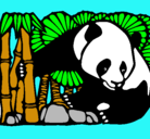 Dibujo Oso panda y bambú pintado por marissa17