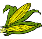 Dibujo Mazorca de maíz pintado por adfghj