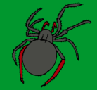Dibujo Araña venenosa pintado por laura