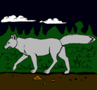 Dibujo Coyote pintado por alan