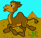 Dibujo Camello pintado por danieladiazsoto