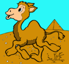 Dibujo Camello pintado por camellon