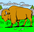 Dibujo Búfalo  pintado por vlad