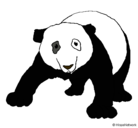 Dibujo Oso panda pintado por elecktro
