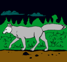 Dibujo Coyote pintado por sebastian