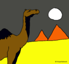 Dibujo Camello pintado por ayr21222386