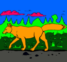 Dibujo Coyote pintado por zorro