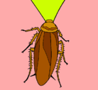 Dibujo Cucaracha pintado por liliana