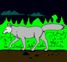 Dibujo Coyote pintado por sebastian