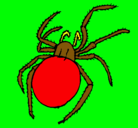Dibujo Araña venenosa pintado por SEBASTIAN
