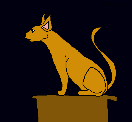 Gato egipcio II