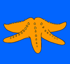 Dibujo Estrella de mar pintado por NIEVES