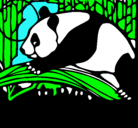 Dibujo Oso panda comiendo pintado por Maxi