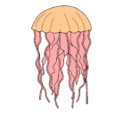 Dibujo Medusa pintado por rosi