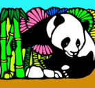 Dibujo Oso panda y bambú pintado por panda