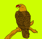 Dibujo Águila en una rama pintado por miguelito