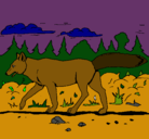 Dibujo Coyote pintado por lobo