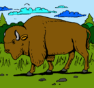 Dibujo Búfalo  pintado por sebastianmateo
