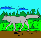 Dibujo Coyote pintado por kelvin