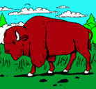 Dibujo Búfalo  pintado por Carlos