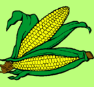 Dibujo Mazorca de maíz pintado por JOSE