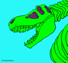 Dibujo Esqueleto tiranosaurio rex pintado por eliotulisses