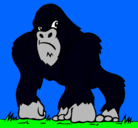 Dibujo Gorila pintado por FER6