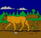 Dibujo Coyote pintado por Marcos