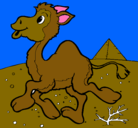 Dibujo Camello pintado por johanna