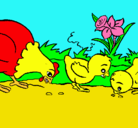 Dibujo Gallina y pollitos pintado por hummerto