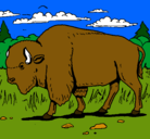 Dibujo Búfalo  pintado por ina