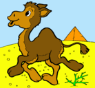 Dibujo Camello pintado por agus