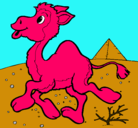 Dibujo Camello pintado por alexandra
