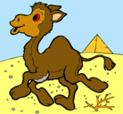 Dibujo Camello pintado por ximena
