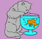 Dibujo Gato mirando al pez pintado por gara