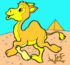Dibujo Camello pintado por edgardsamamemalca