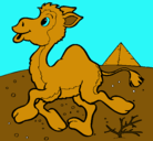 Dibujo Camello pintado por mauro