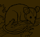 Dibujo Ardilla possum pintado por germiltopu