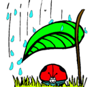 Dibujo Mariquita protegida de la lluvia pintado por carlos