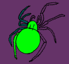 Dibujo Araña venenosa pintado por gianfranco