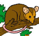 Dibujo Ardilla possum pintado por gregoris