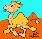 Dibujo Camello pintado por Agüs