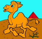 Dibujo Camello pintado por gabriela