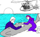 Dibujo Rescate ballena pintado por didacpino