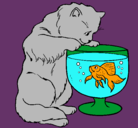 Dibujo Gato mirando al pez pintado por franyelis