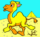 Dibujo Camello pintado por iagoc.p